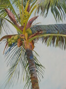 Coconut Palm    24X48      SOLD