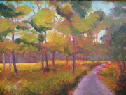 Country Road 11X14