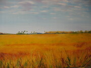 Everglades Afternoon 30X30 SOLD