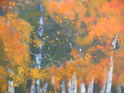 Fall Foliage 18X36