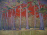 Cypress Swamp 24X30