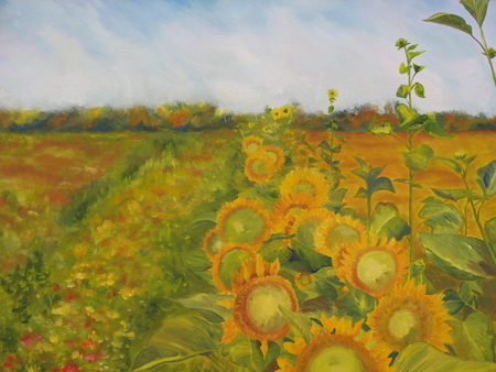 Sunflower Farm 30X30 SOLD